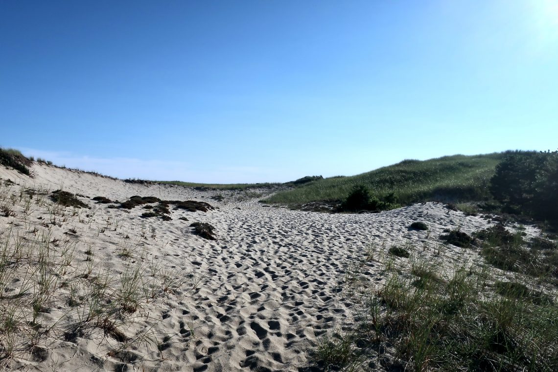 Bound Brook Island Beach SLIDESHOW Cape Cod Wave