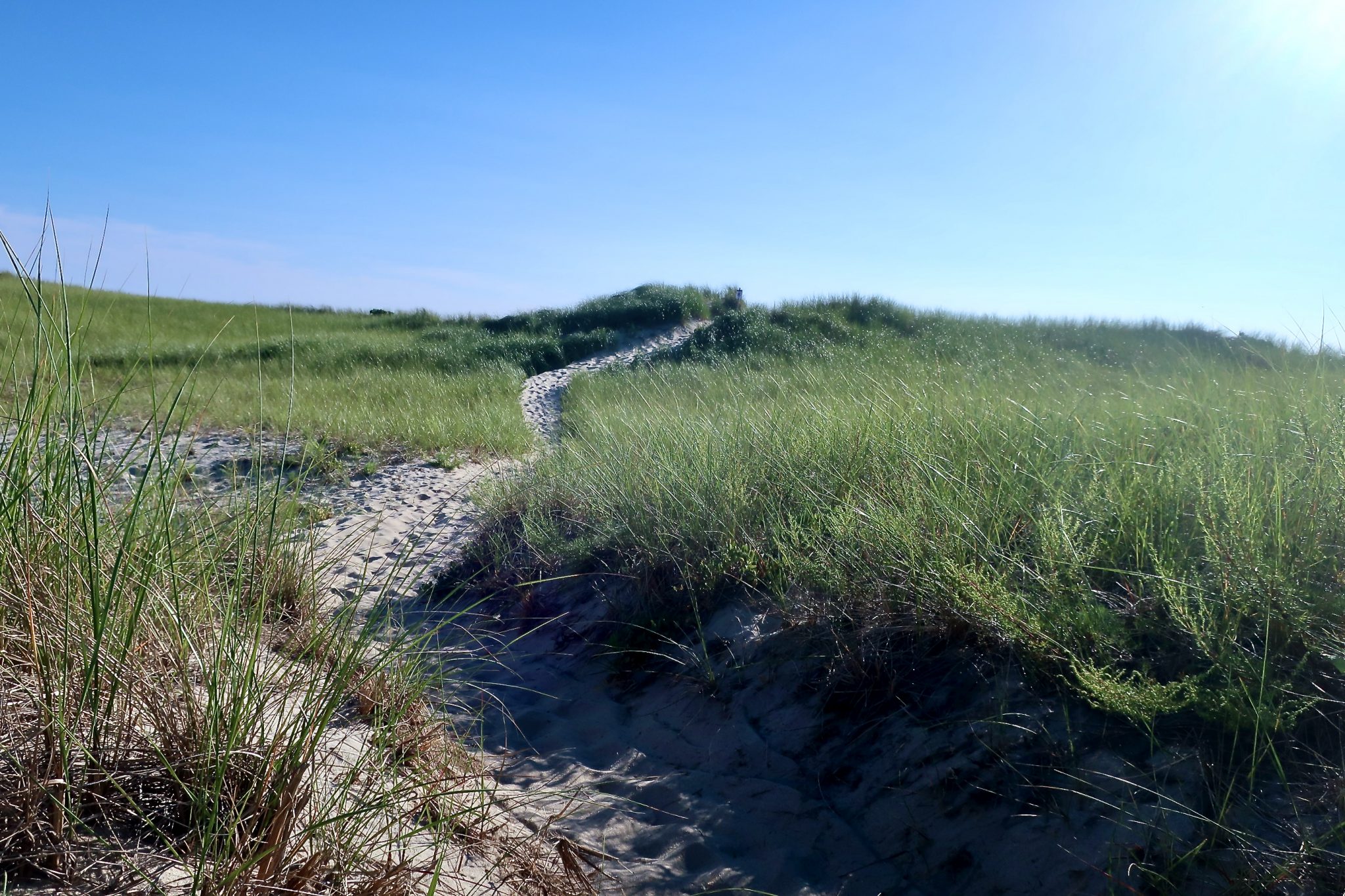 Bound Brook Island Beach SLIDESHOW Cape Cod Wave