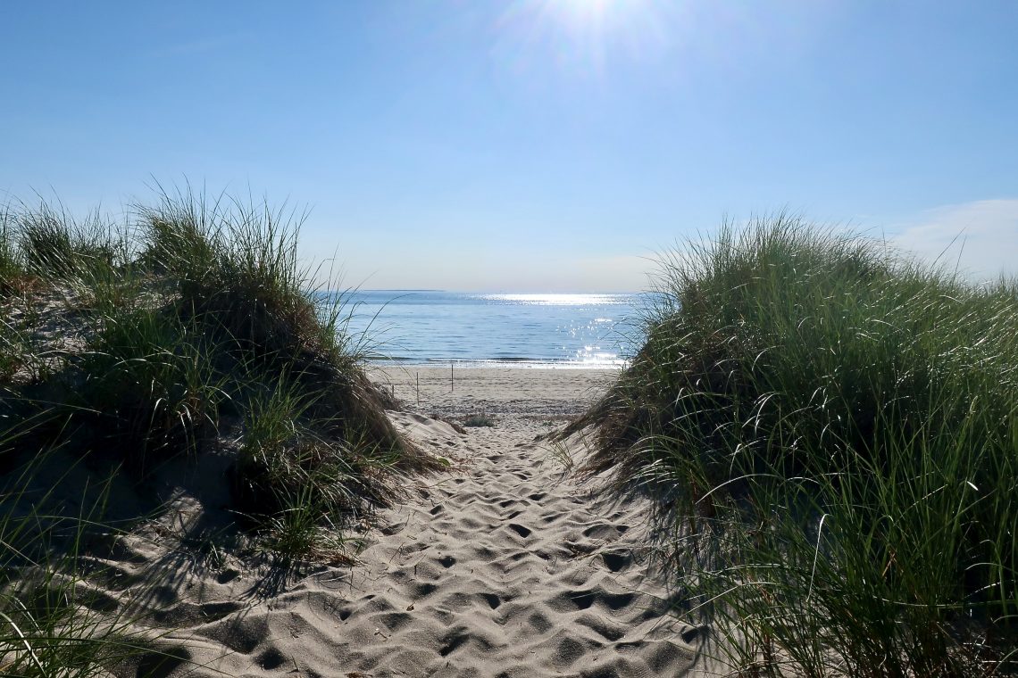 Bound Brook Island Beach SLIDESHOW Cape Cod Wave