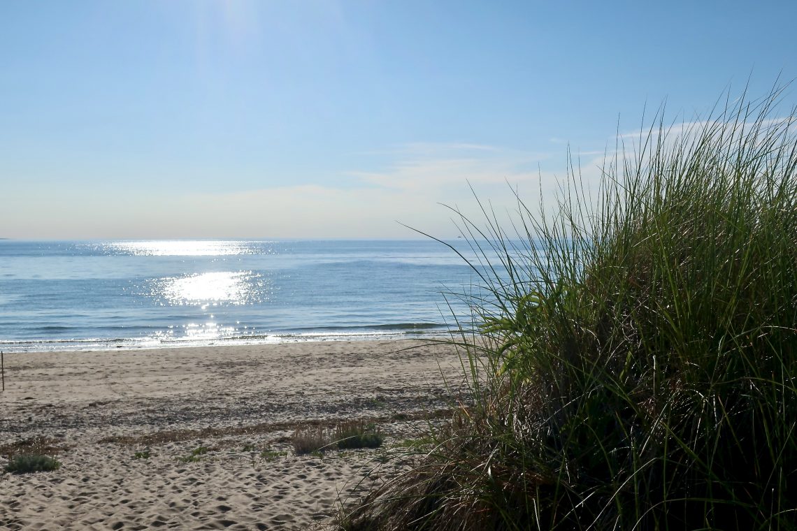 Bound Brook Island Beach – SLIDESHOW - Cape Cod Wave