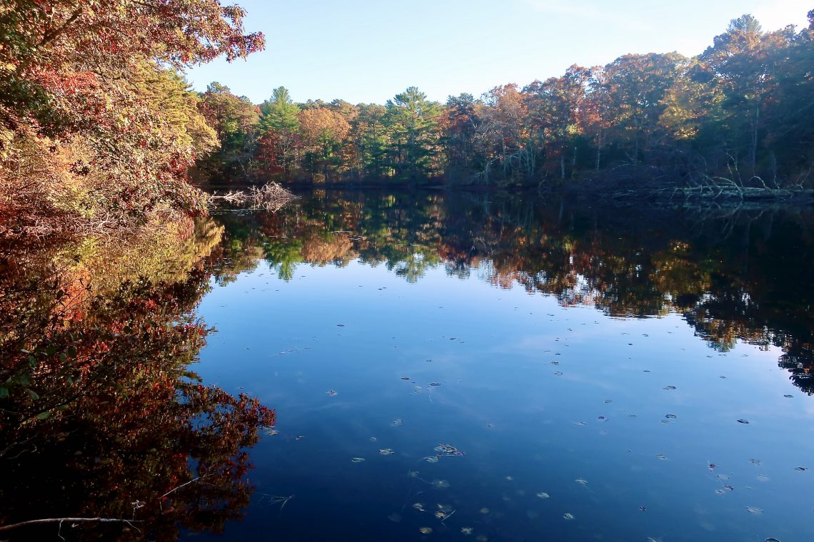 Four Ponds Conservation Area, Bourne – Slideshow - Cape Cod Wave