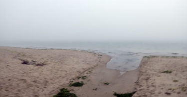 A Foggy Start to 2023 At Lighthouse Beach, Chatham