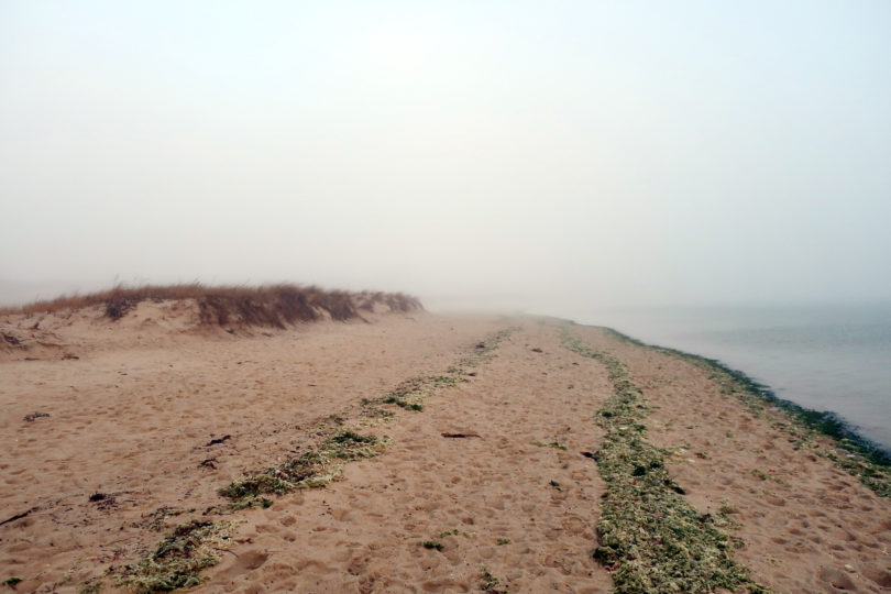 A Foggy Start to 2023 At Lighthouse Beach, Chatham