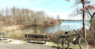 Bike Path, Falmouth to Woods Hole