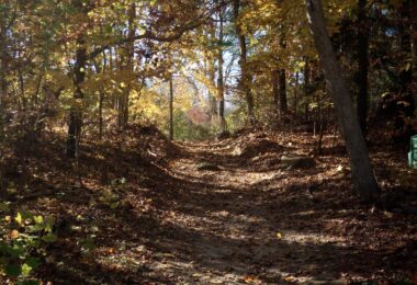 Beebe Woods Autumn November