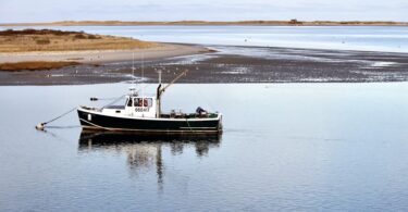 Chatham Fishing Boats At Rest