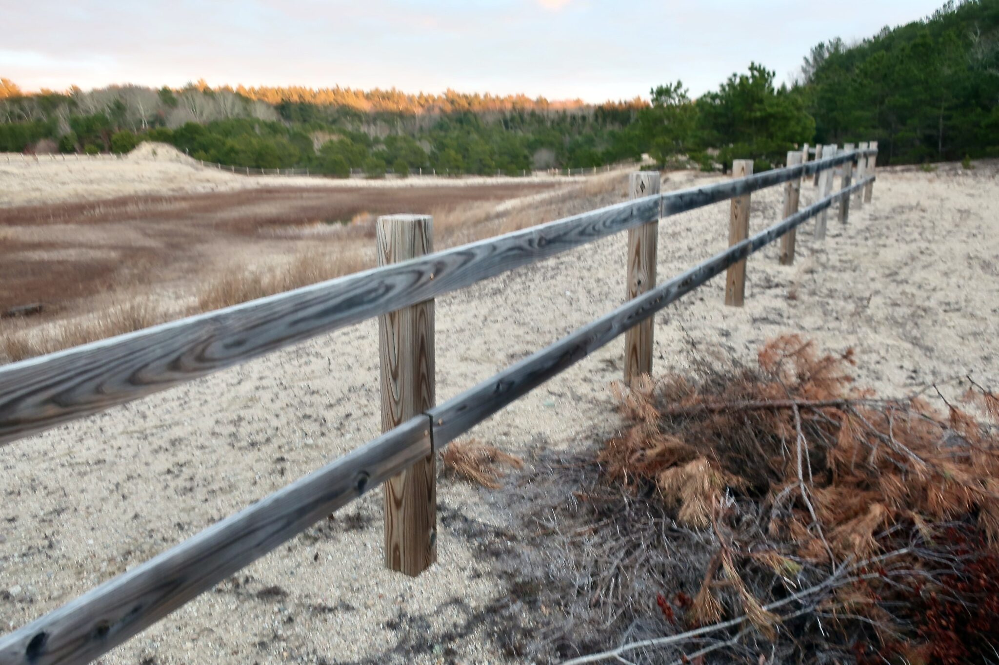 Breivogel Ponds Conservation Area, Falmouth Slideshow Cape Cod Wave