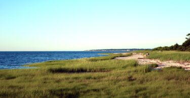 Long Pasture Wildlife Sanctuary