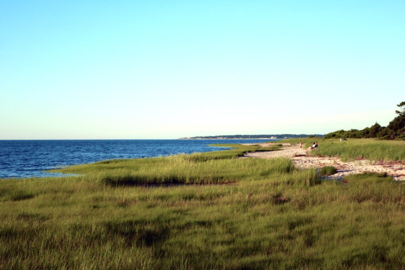 Long Pasture Wildlife Sanctuary