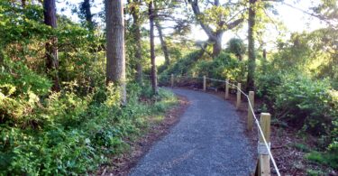 Long Pasture Wildlife Sanctuary