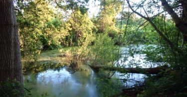 Long Pasture Wildlife Sanctuary