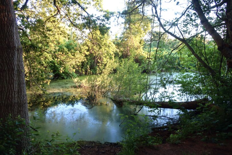 Long Pasture Wildlife Sanctuary