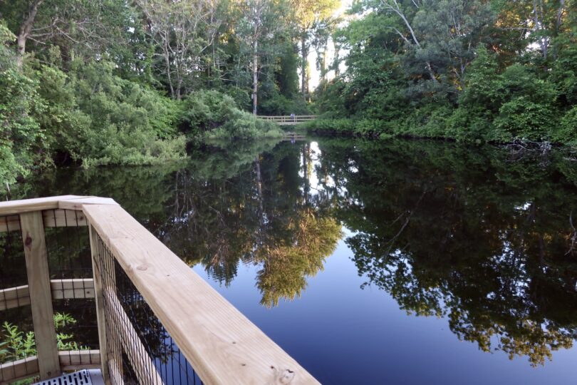 Long Pasture Wildlife Sanctuary