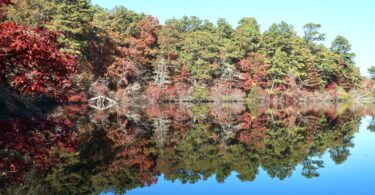 Four Ponds