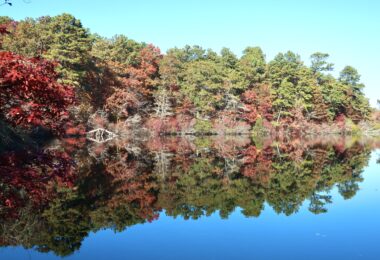 Four Ponds