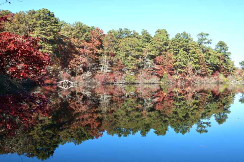 Four Ponds