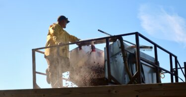 West Falmouth cranberry bog