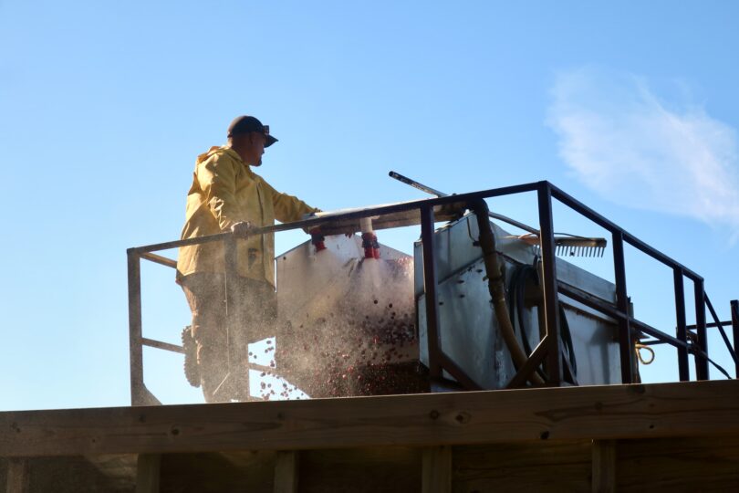 West Falmouth cranberry bog