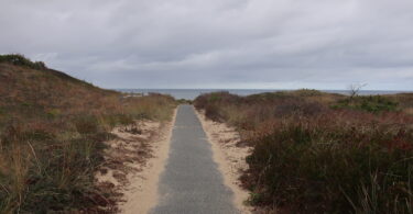 Marconi Station site trail