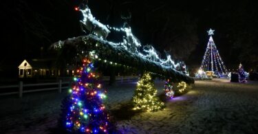 First snow Christmas display