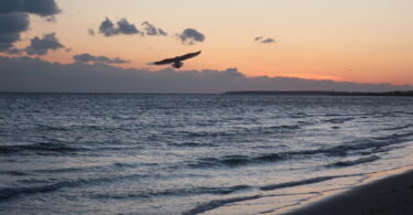 Sunset West Dennis Beach