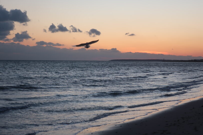 Sunset West Dennis Beach