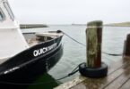 Drizzly Falmouth Harbor boats