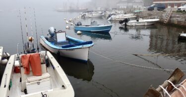 Woods Hole Fog June 2025