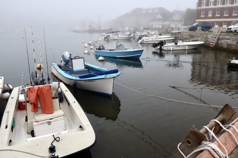 Woods Hole Fog June 2025