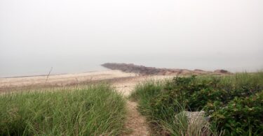 Woods Hole Fog June 2025