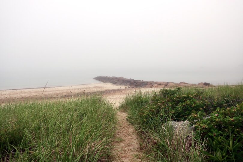 Woods Hole Fog June 2025