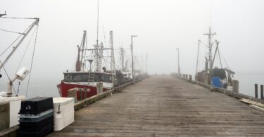 Woods Hole Fog June 2025