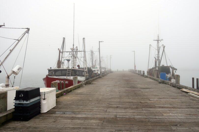 Woods Hole Fog June 2025