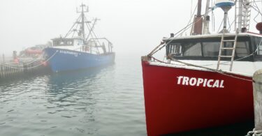 Woods Hole Fog June 2025