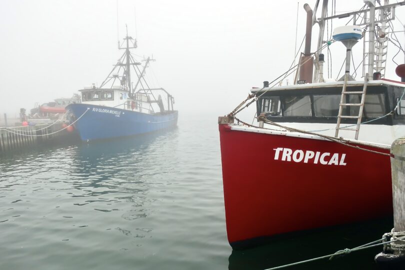 Woods Hole Fog June 2025