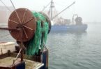 Woods Hole Fog June 2025