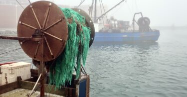 Woods Hole Fog June 2025