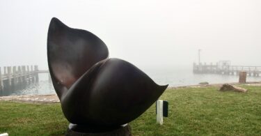Woods Hole Fog June 2025