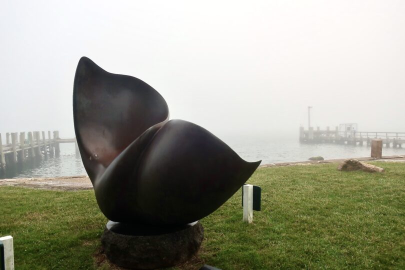 Woods Hole Fog June 2025