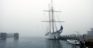 Woods Hole Fog June 2025