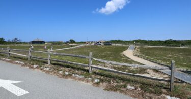 Marconi July