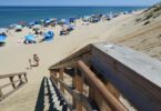 Marconi July