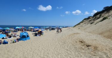 Marconi July