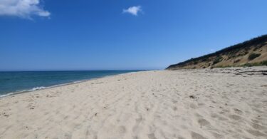Marconi July