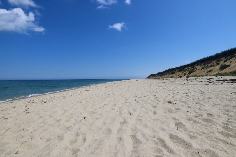 Marconi July