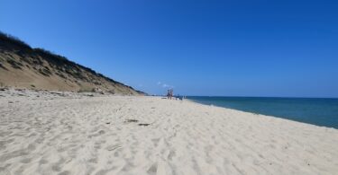 Marconi July