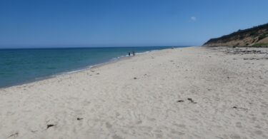 Marconi July