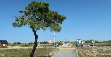 Marconi July