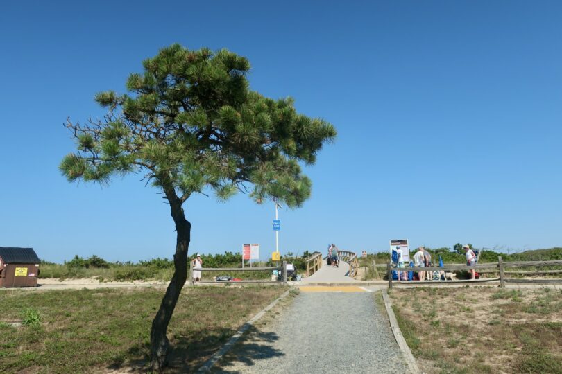 Marconi July
