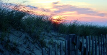 Race Point July sunset